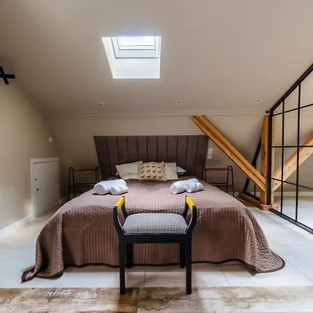 公寓 Golden Rooftop Apartment-oldtown 弗罗茨瓦夫